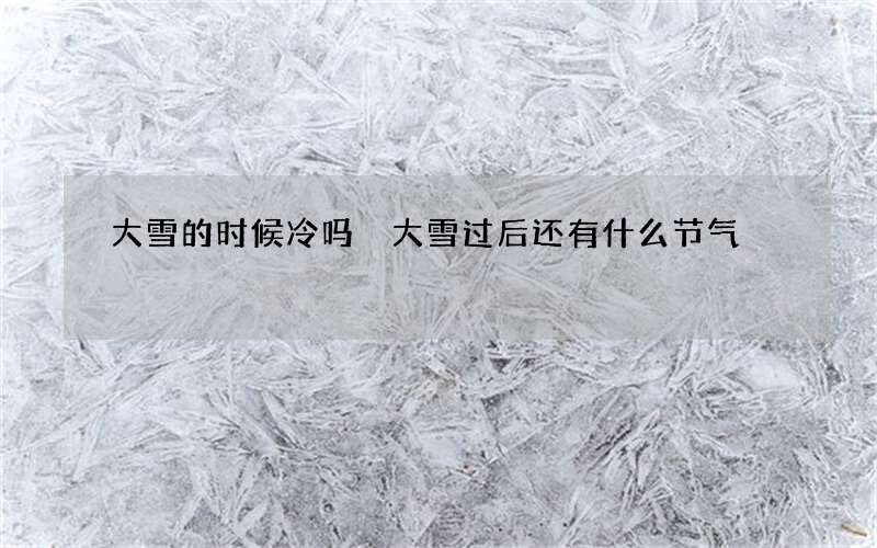 大雪的时候冷吗 大雪过后还有什么节气